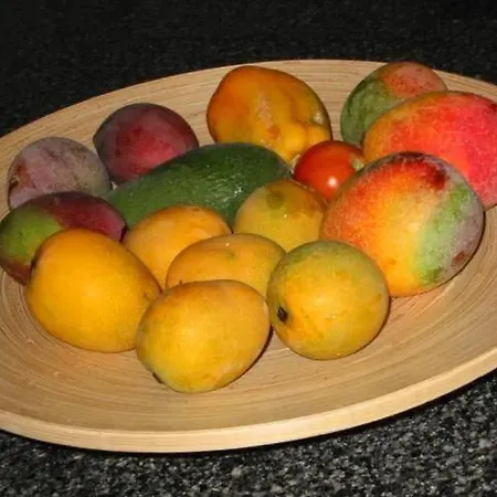 Nyaraló Tota